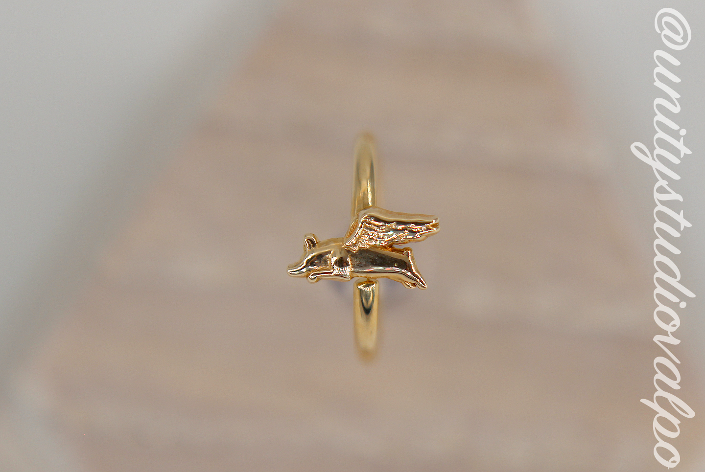 Body Gems: 14K Gold THREADLESS Hummingbird End